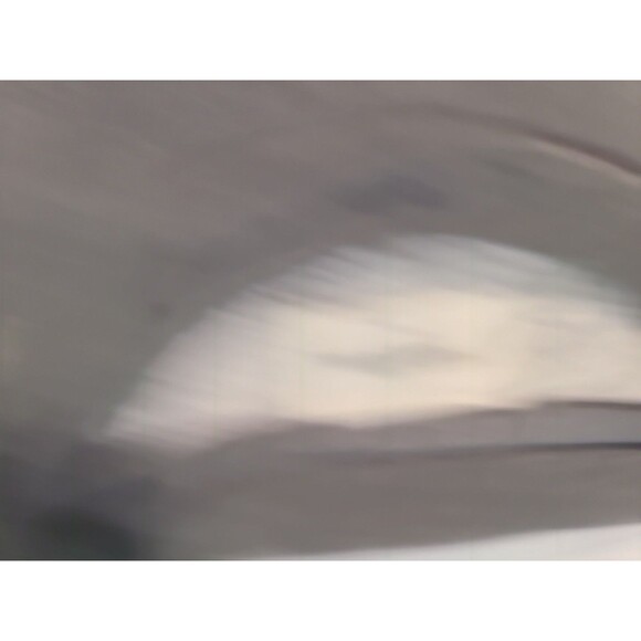 Wood Wood designer art sweatshirt SMALL Original BigLogo 4 " X 5" - Picture 7 of 7